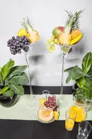 Vitis vinifera (Druif) - afbeelding 26
