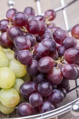 Vitis vinifera (Druif) - afbeelding 49
