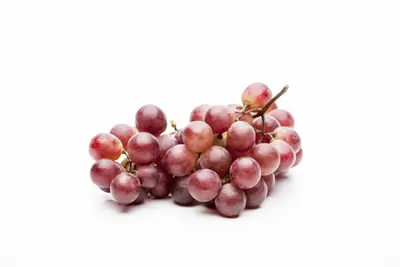 Vitis vinifera (Druif) - afbeelding 33