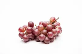 Vitis vinifera (Druif) - afbeelding 33