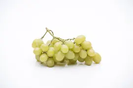 Vitis vinifera (Druif) - afbeelding 34