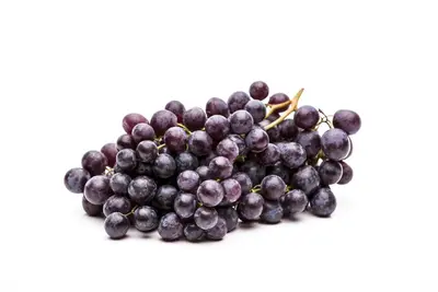 Vitis vinifera (Druif) - afbeelding 35