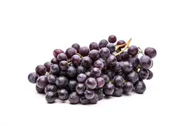 Vitis vinifera (Druif) - afbeelding 35