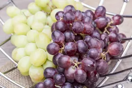 Vitis vinifera (Druif) - afbeelding 44