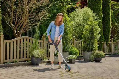 Voegenborstel Staaldraad voor easyweed - afbeelding 4