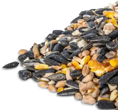 Vogebescherming Nederland Premium zadenmix met insecten 1kg - afbeelding 3
