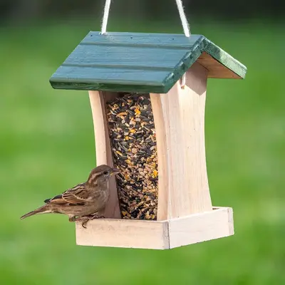 Vogebescherming Nederland Premium zadenmix met insecten 1kg - afbeelding 5