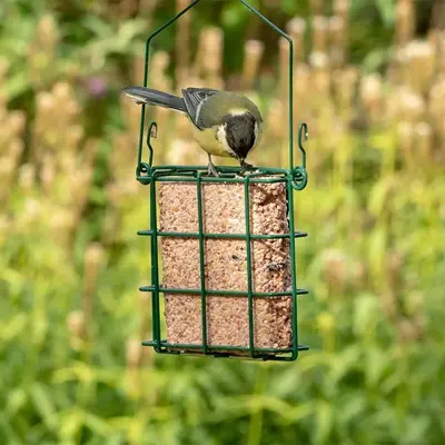 Vogelbescherming Nederland Bosvruchtenvetblok 350g - afbeelding 2