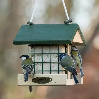 Vogelbescherming Nederland insectenvetblok - afbeelding 2