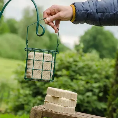Vogelbescherming Nederland insectenvetblok - afbeelding 3