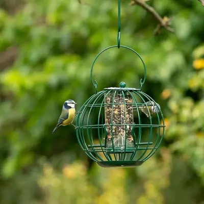 Vogelbescherming Nederland London pindasilo - afbeelding 2