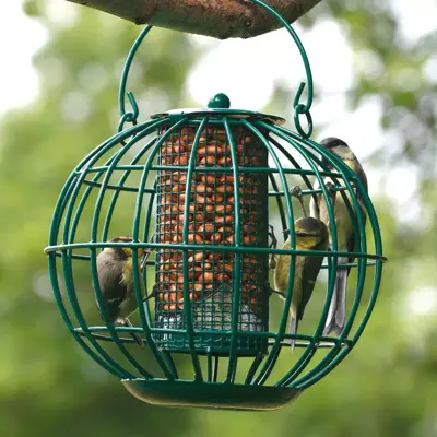 Vogelbescherming Nederland London pindasilo - afbeelding 3