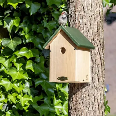 Vogelbescherming Nederland nestkast Oklahoma (voor mussen) - afbeelding 2