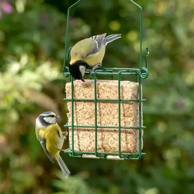 Vogelbescherming Nederland Pindavetblok - afbeelding 2