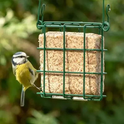 Vogelbescherming Nederland Pindavetblok - afbeelding 3