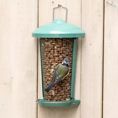 Vogelbescherming Nederland premium pinda's 4 liter - afbeelding 4