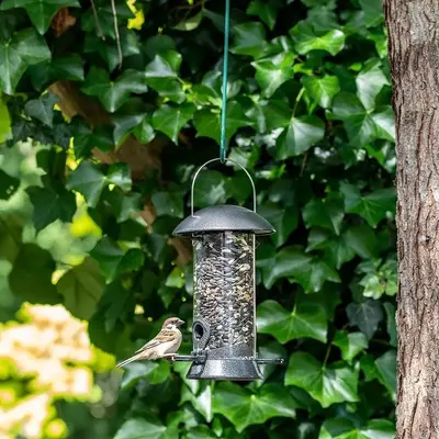 Vogelbescherming Nederland Premium Voedersilomix 4l - afbeelding 3