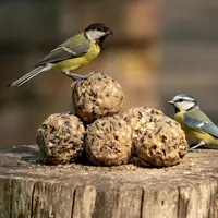 Vogelbescherming Nederland - Ultimate vetbollen 30 stuks - afbeelding 3