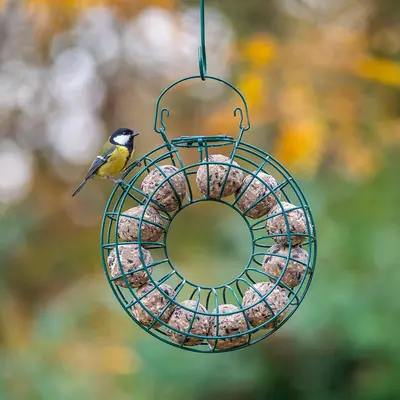 Vogelbescherming Nederland Ultimate vetbollen met insecten - 30x80g - afbeelding 4