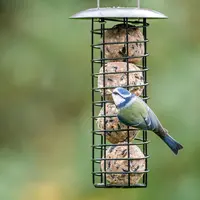 Vogelbescherming Nederland Ultimate vetbollen met insecten - 30x80g - afbeelding 5