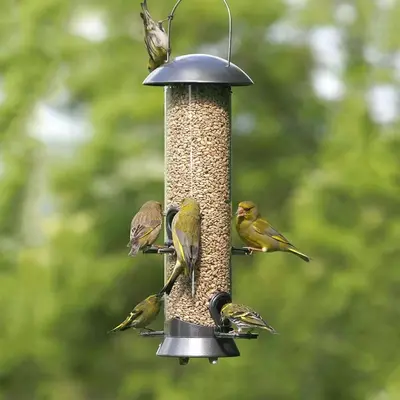 Vogelbescherming Nederland Zadensilo adventurer medium 40cm - afbeelding 3