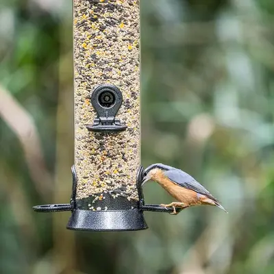Vogelbescherming Nederland Zadensilo adventurer medium 40cm - afbeelding 4