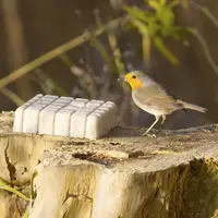 Vogelbescherming Nederland Zadenvetblok 350g - afbeelding 2