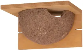 Vogelbescherming Nederland zwaluwnest Cancun kopen?