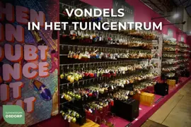 Vondels dinerkaars golden moments 25cm multi 4 stuks - afbeelding 2