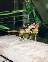 Vondels glazen kerstbal dino 15cm groen - afbeelding 4