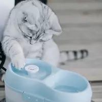 Waterbak voor katten Cat H2O, 2 liter. - afbeelding 5