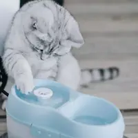 Waterbak voor katten Cat H2O, 2 liter. - afbeelding 5