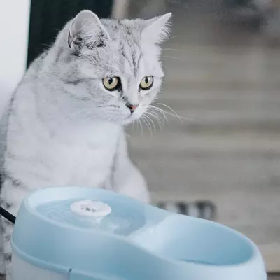 Waterbak voor katten Cat H2O, 2 liter. - afbeelding 8