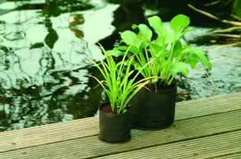 Waterplantzakje d25cm - afbeelding 3