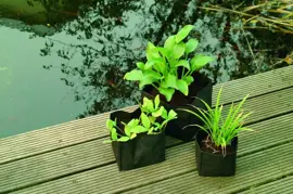 Waterplantzakje l25b30h30cm - afbeelding 3