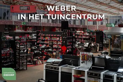 Weber Bluetooth/Wifi & Display Smart Thermometer met sonde - afbeelding 5