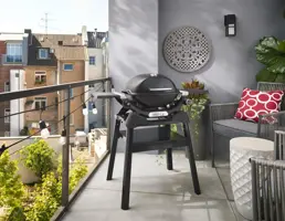 Weber q 1200n met stand - afbeelding 9