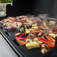 Weber Summit FS38 E-gasbarbecue - afbeelding 6