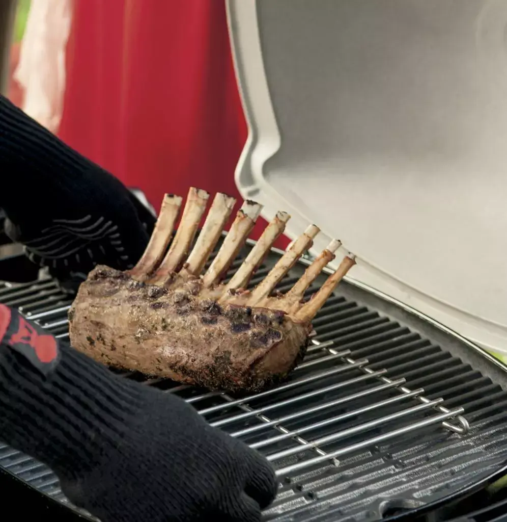 Weber bbq rooster groot Q serie kopen? - tuincentrum :)