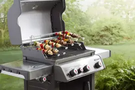 Weber verticaal systeemrek met 8 spiesen RVS - afbeelding 4