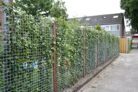 Wemekamp gaaspaneel 90x180cm thermisch verzinkt 4mm maas 5x5cm - afbeelding 2