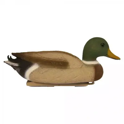 Wilde eend (woerd) - afbeelding 1