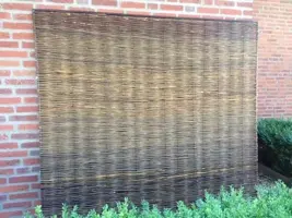 Wilgenscherm stingray 180x180 cm kopen?