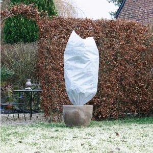 Winterartikelen