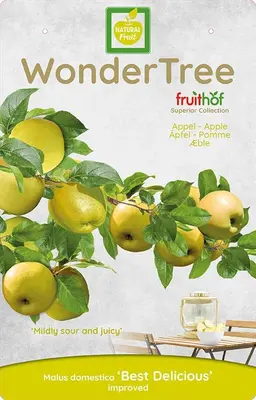 Wonder tree glory of kapelle - afbeelding 1