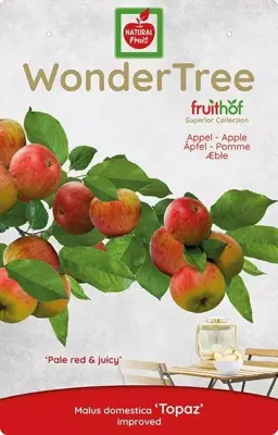 Wonder tree Malus domestica 'Topaz' (Appel) 160cm - afbeelding 3