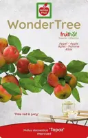 Wonder tree Malus domestica 'Topaz' (Appel) 160cm - afbeelding 3