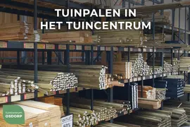 Woodvision Douglas Paal Geschaafd – 6,5 x 6,5 x 300 cm – Zwart Gespoten - afbeelding 2