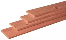 Woodvision douglas plank geschaafd 1.6x14x180 cm geïmpregneerd kopen?