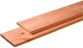 Woodvision douglas plank geschaafd 2.8x19.5x500 cm geïmpregneerd kopen?